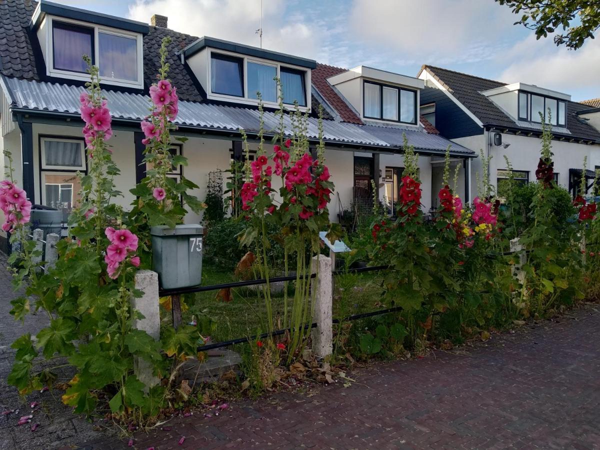 B&B Txl De Cocksdorp  Dış mekan fotoğraf