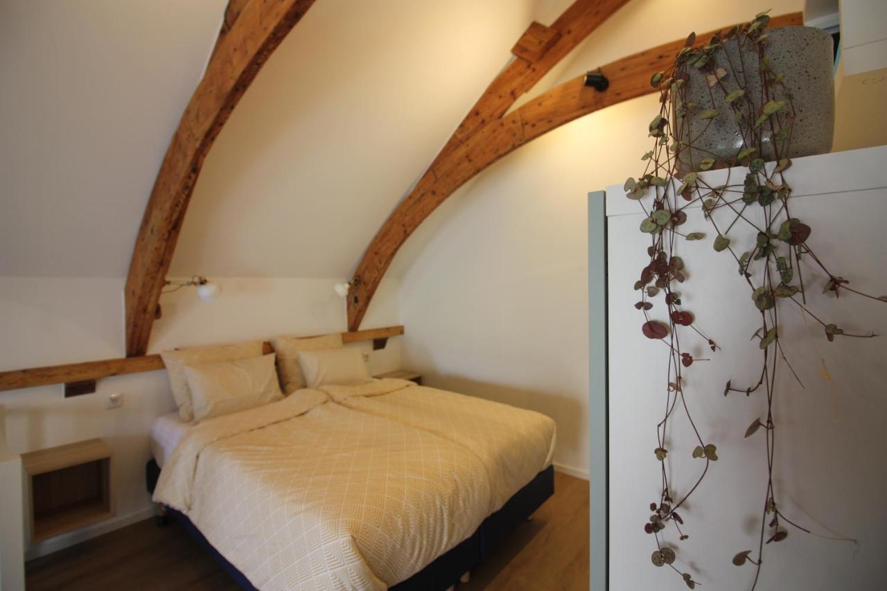 B&B Txl De Cocksdorp  Dış mekan fotoğraf